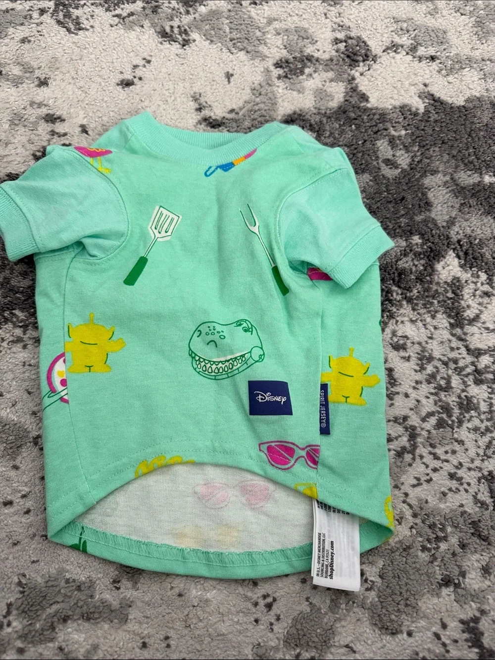 Disney Toy Story Chillin' and grillin Mint Graphic pet Tee